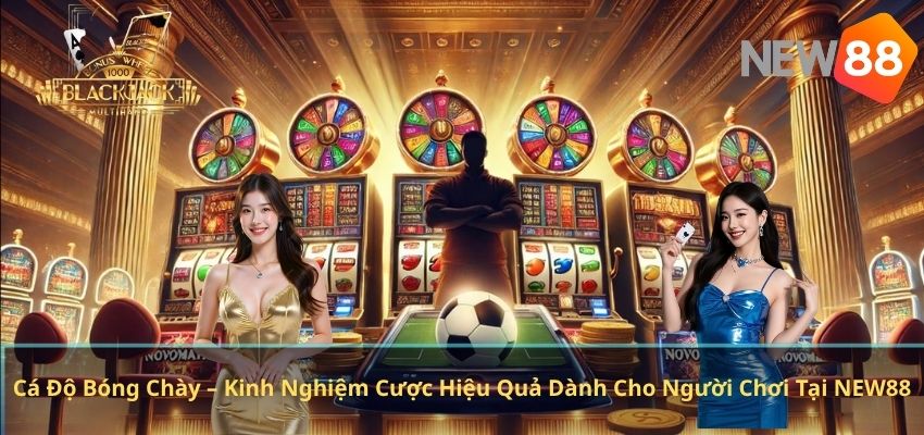 Cá Độ Bóng Chày – Kinh Nghiệm Cược Hiệu Quả Dành Cho Người Chơi Tại NEW88