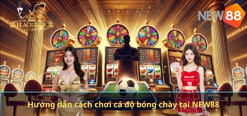 Hướng dẫn cách chơi cá độ bóng chày tại NEW88